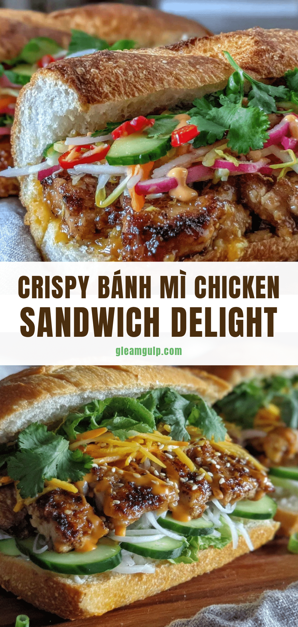 bánh mì chicken sandwich recipe