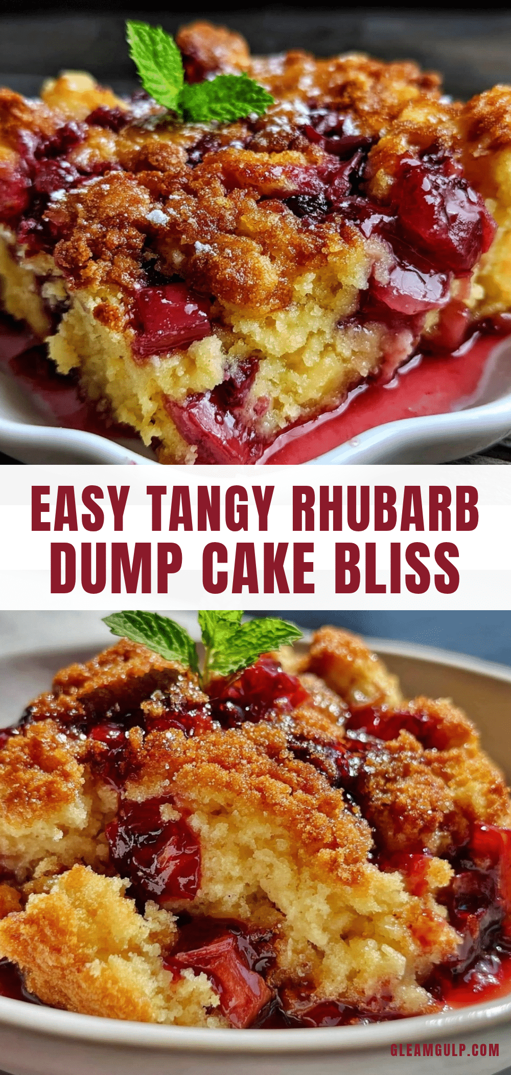 easy rhubarb dump cake recipe