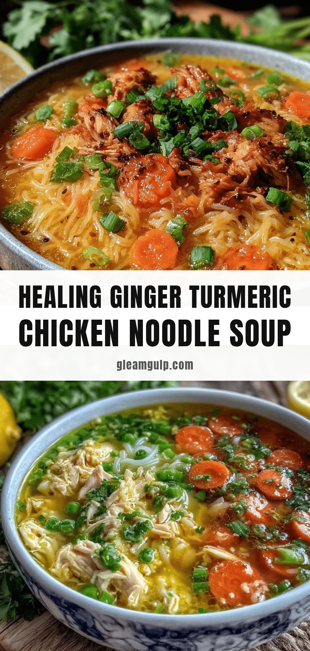 healing ginger turmeric chicken noodle soup recipe