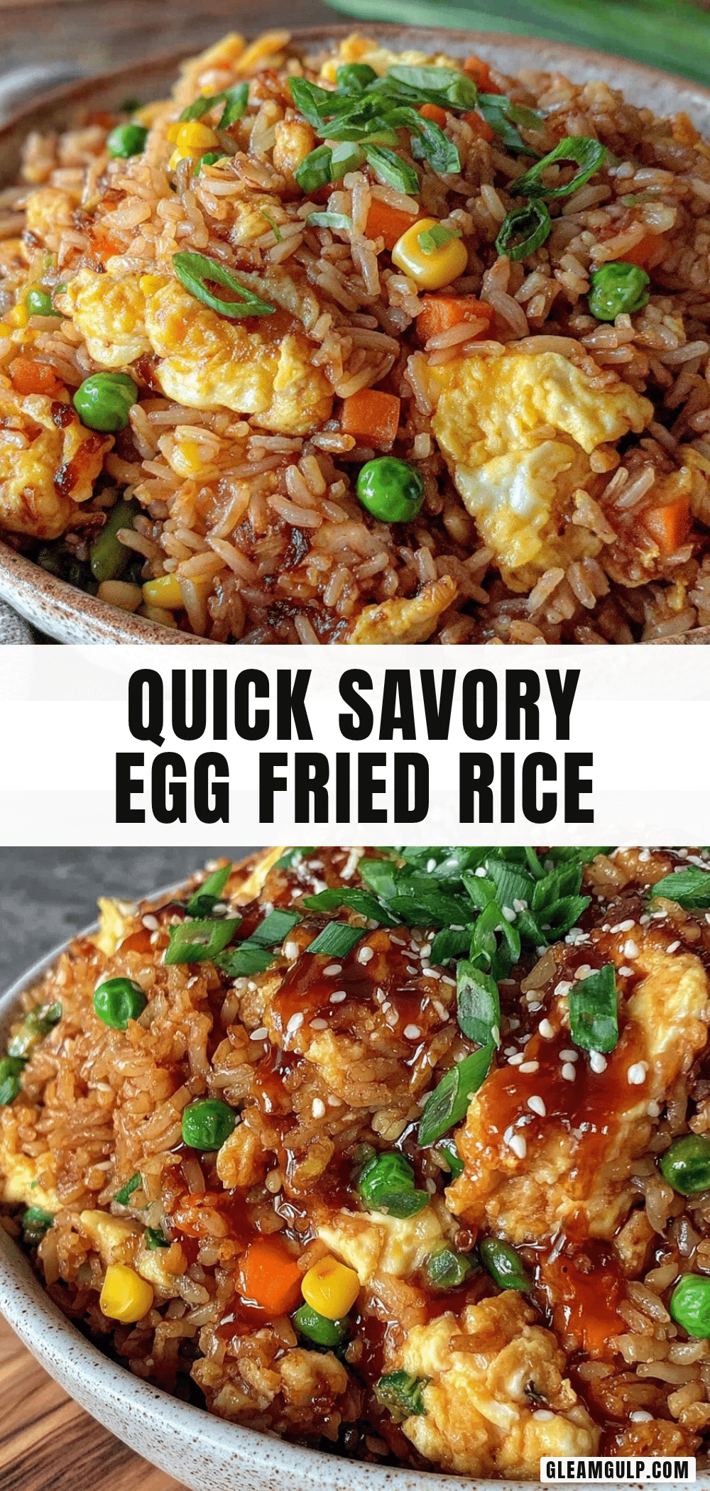 quick savory egg fried rice recipe