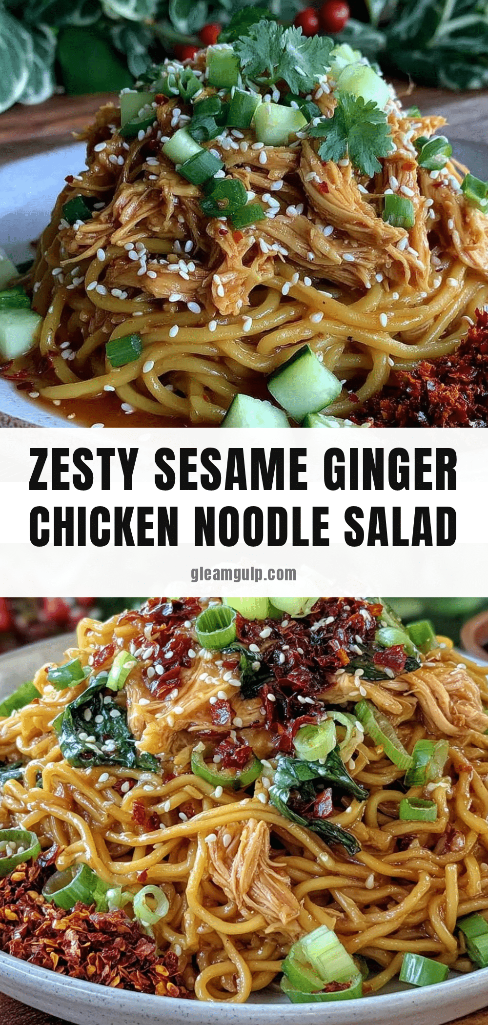 sesame ginger cold noodle salad recipe