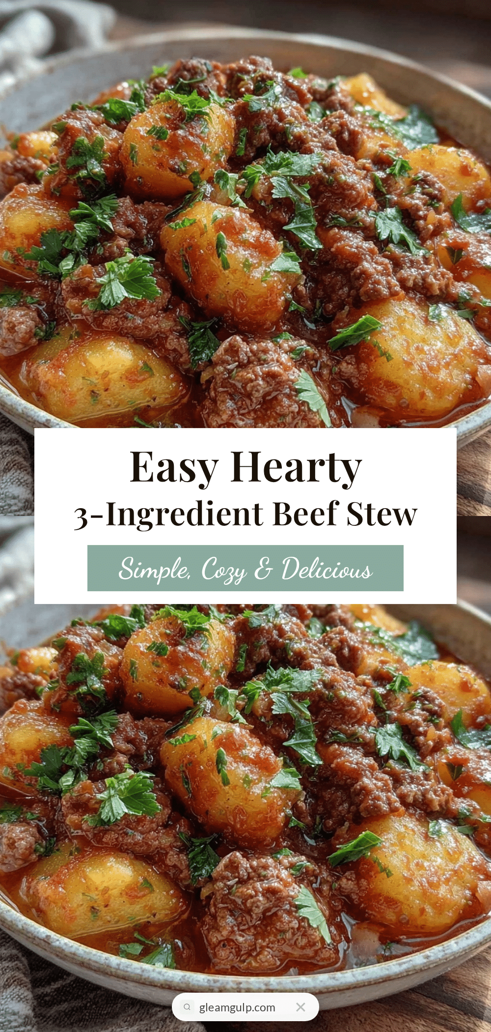 slow cooker beef stew recipe