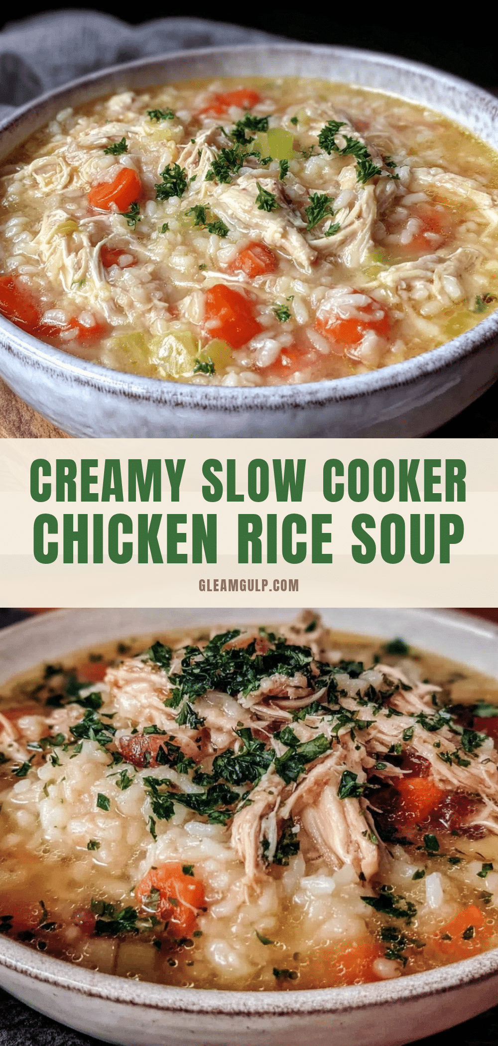 slow cooker chicken and rice soup recipe
