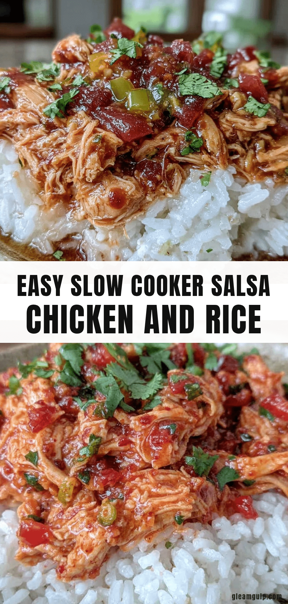 slow cooker salsa chicken with rice recipe