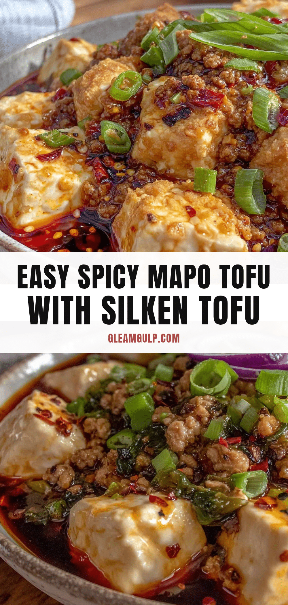 spicy mapo tofu recipe recipe