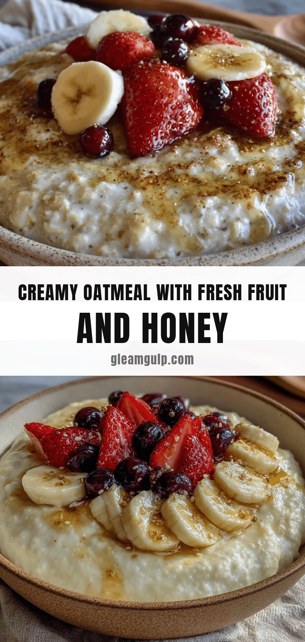 wholesome oatmeal with fresh fruit and honey recipe