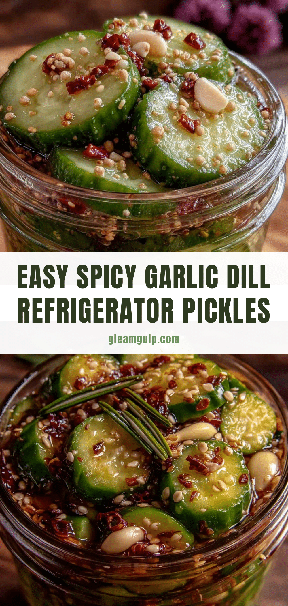 spicy garlic dill refrigerator pickles recipe