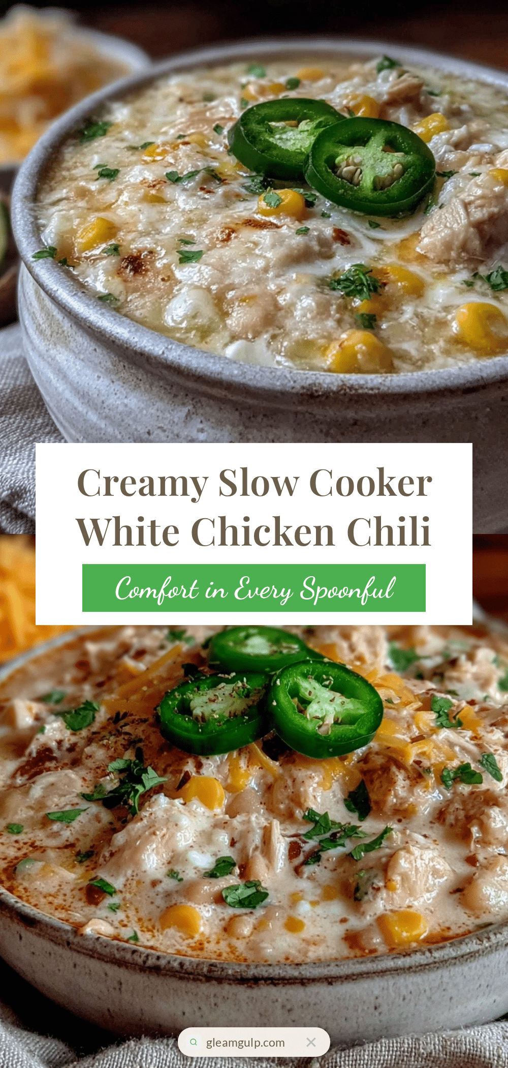 creamy slow cooker white chicken chili recipe