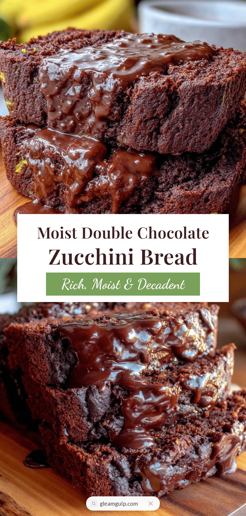 moist double chocolate zucchini bread recipe