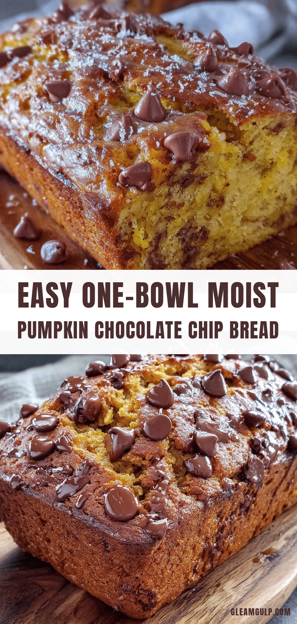 pumpkin chocolate chip bread recipe