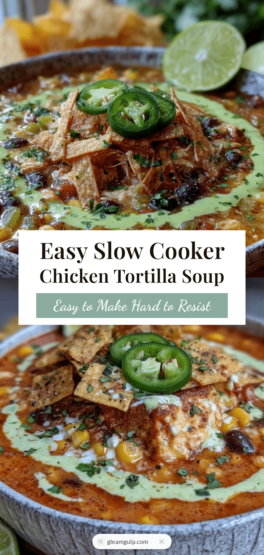 slow cooker chicken tortilla soup recipe