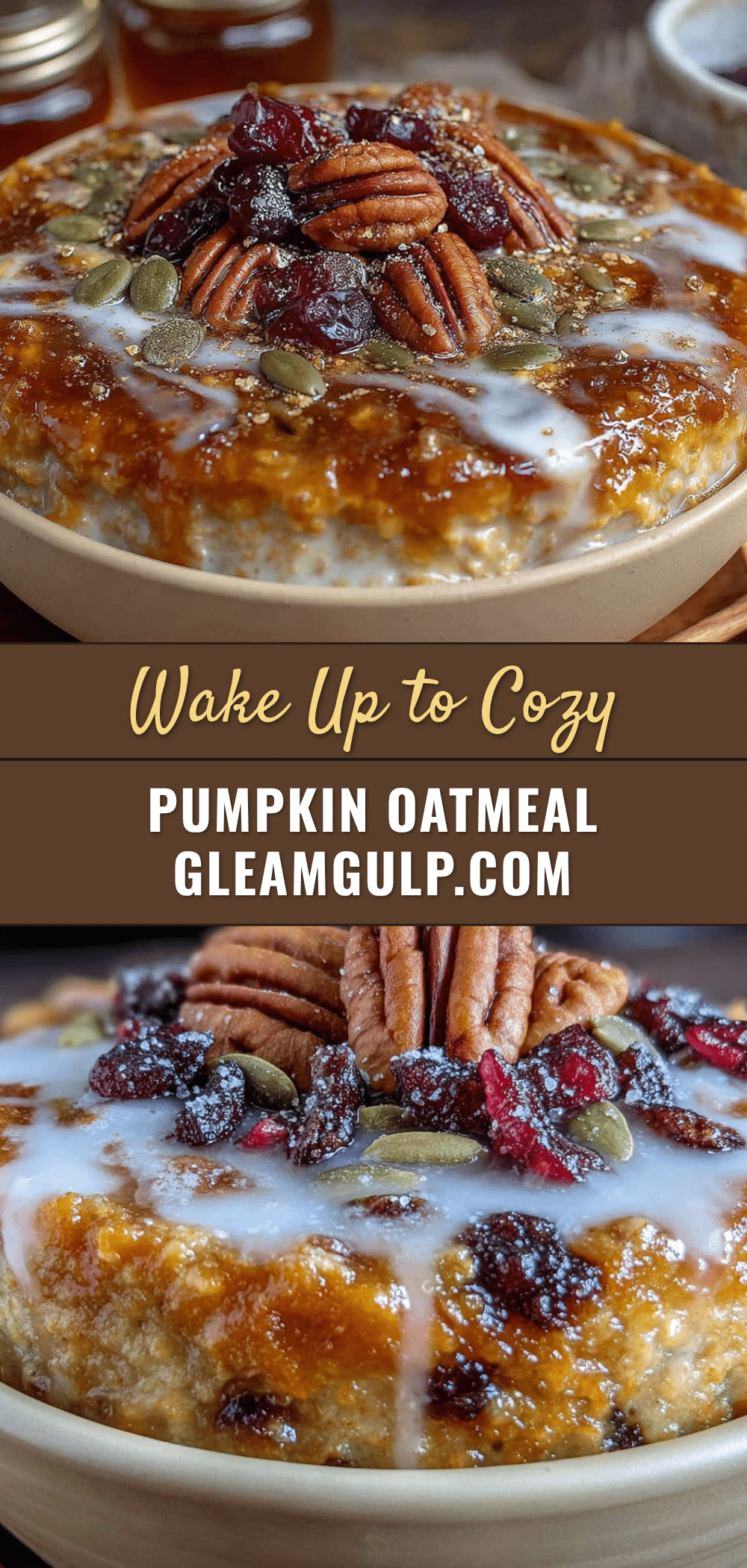 cozy slow cooker pumpkin spice oatmeal recipe