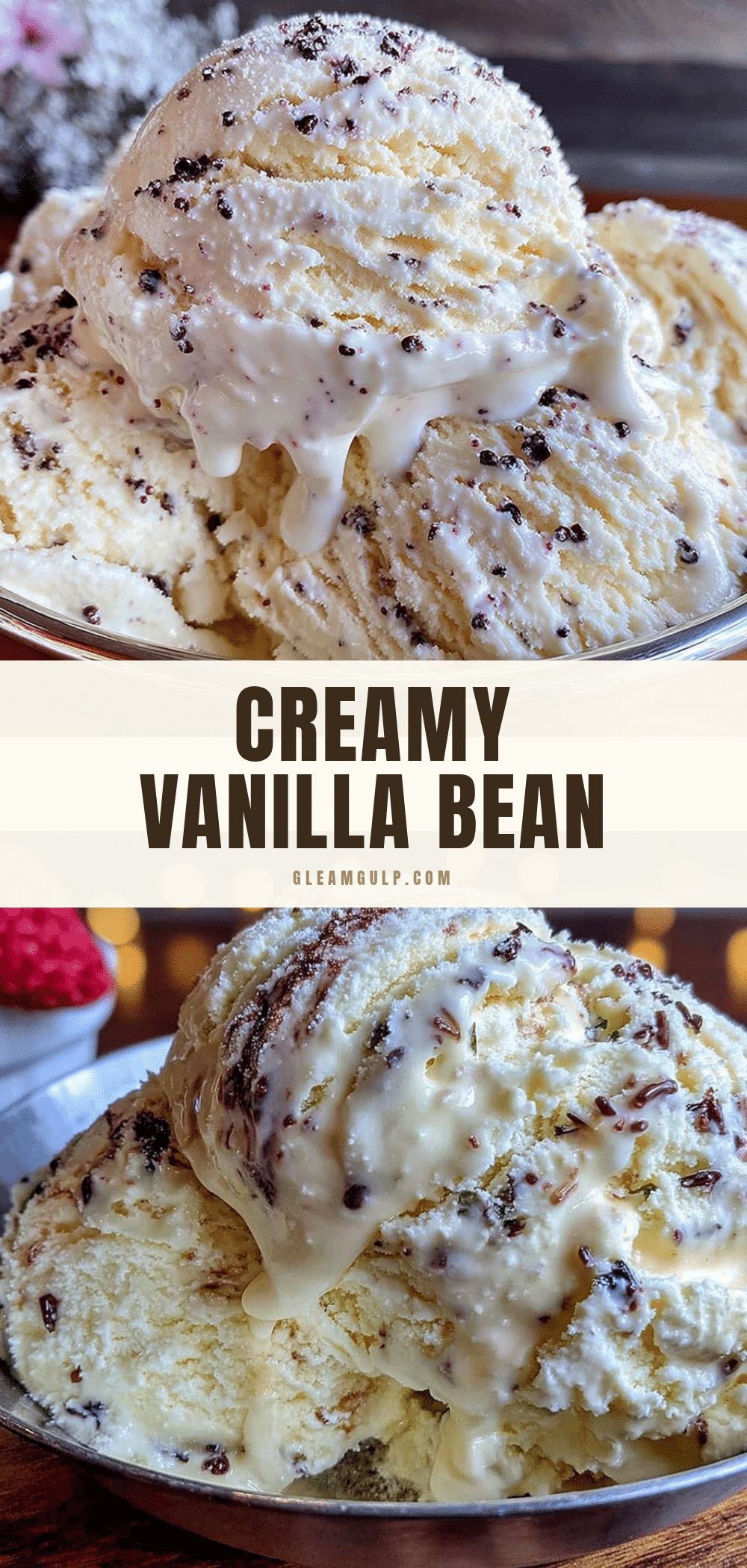 creamy no-churn vanilla bean ice cream recipe