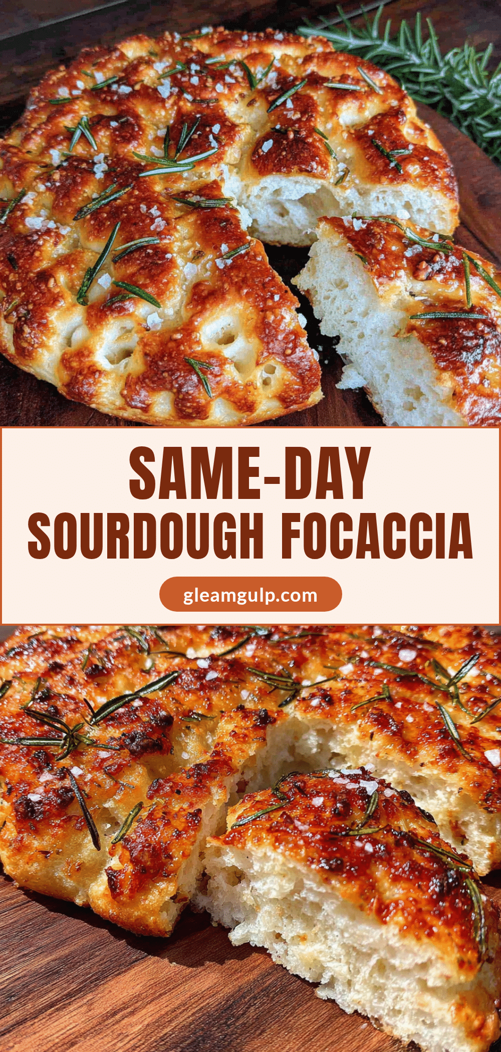same-day sourdough focaccia recipe