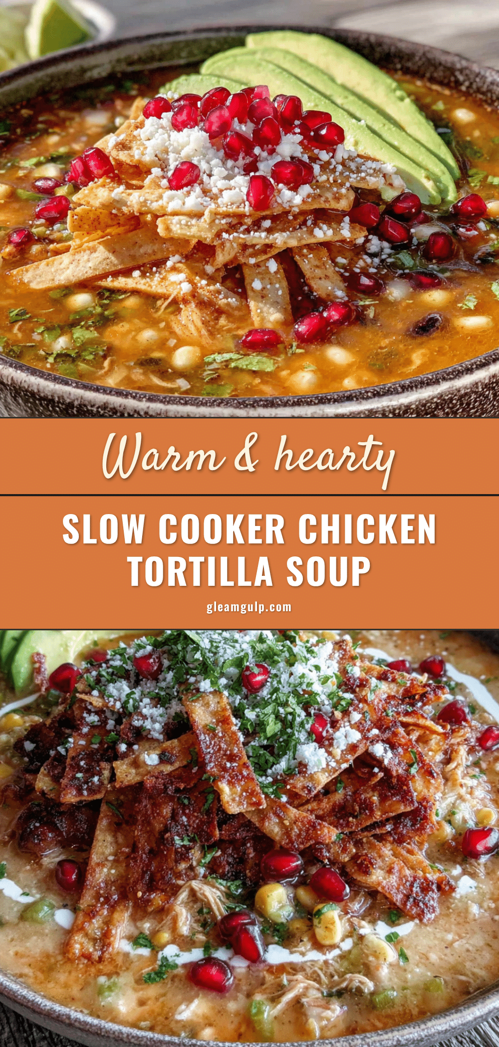 slow cooker chicken tortilla soup recipe