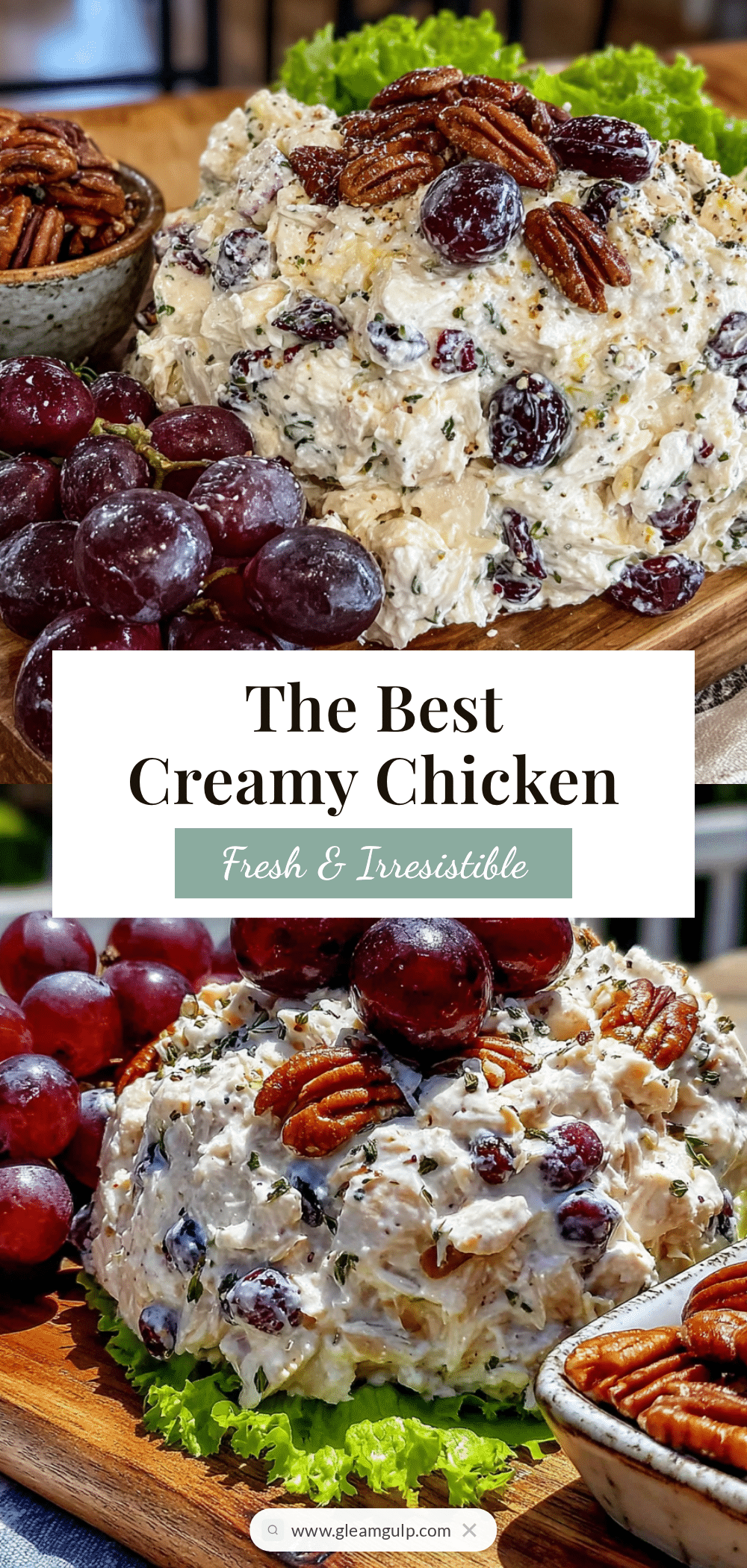 creamy chicken salad with grapes and pecans recipe