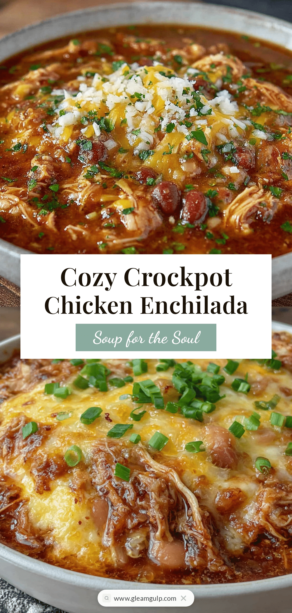Crockpot Chicken Enchilada Soup recipe