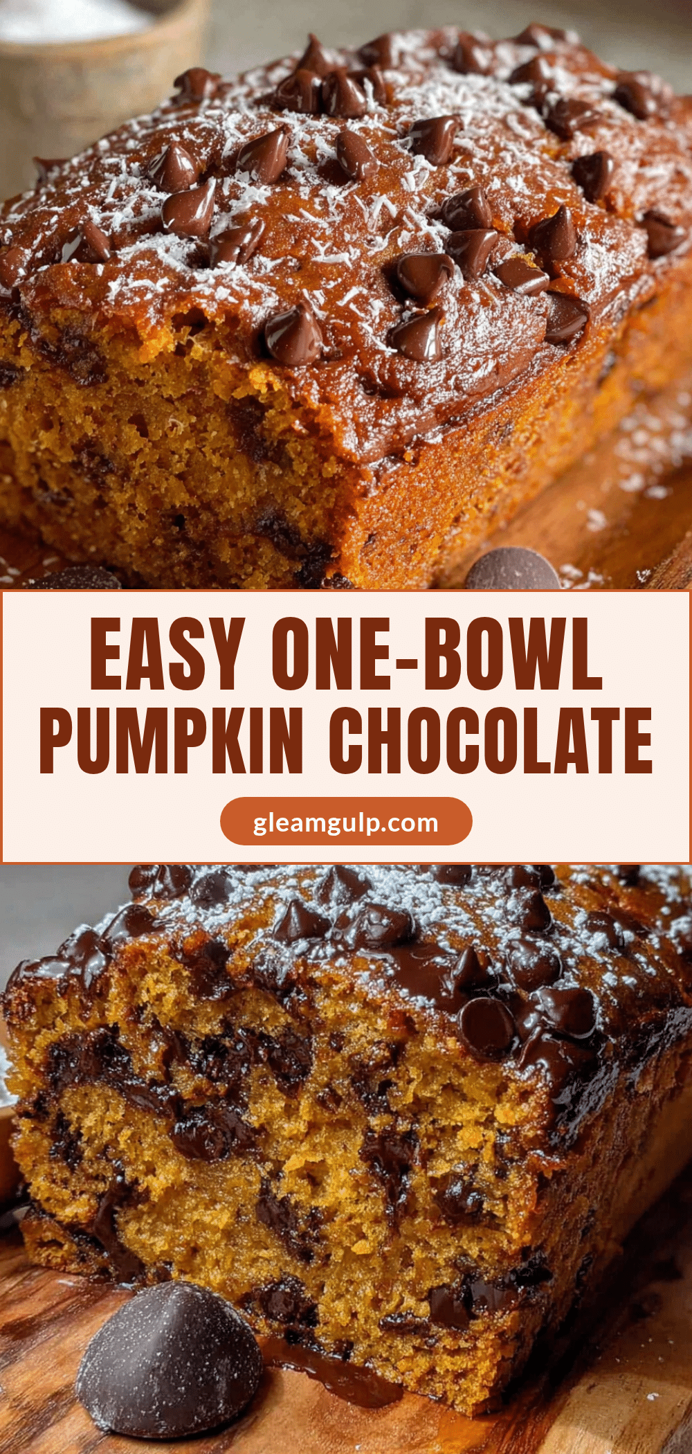 pumpkin chocolate chip bread recipe