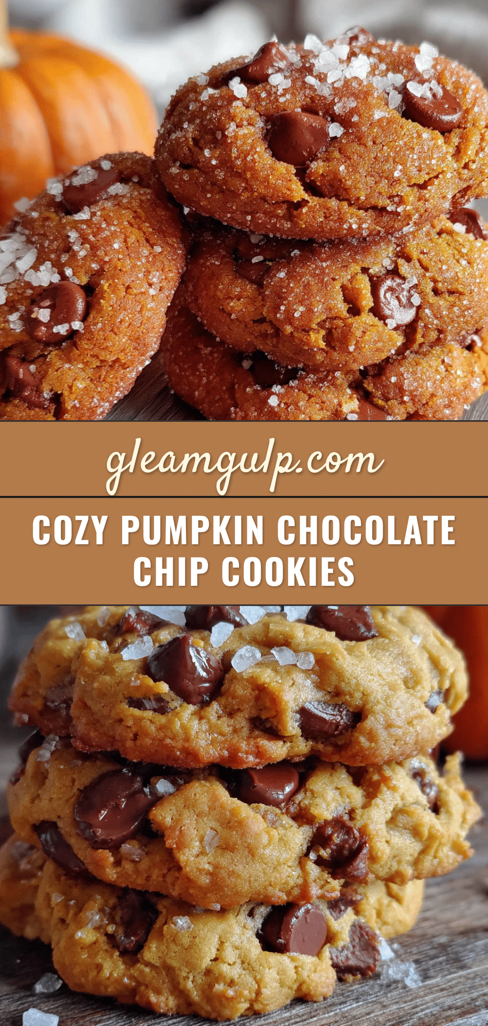pumpkin chocolate chip cookies recipe