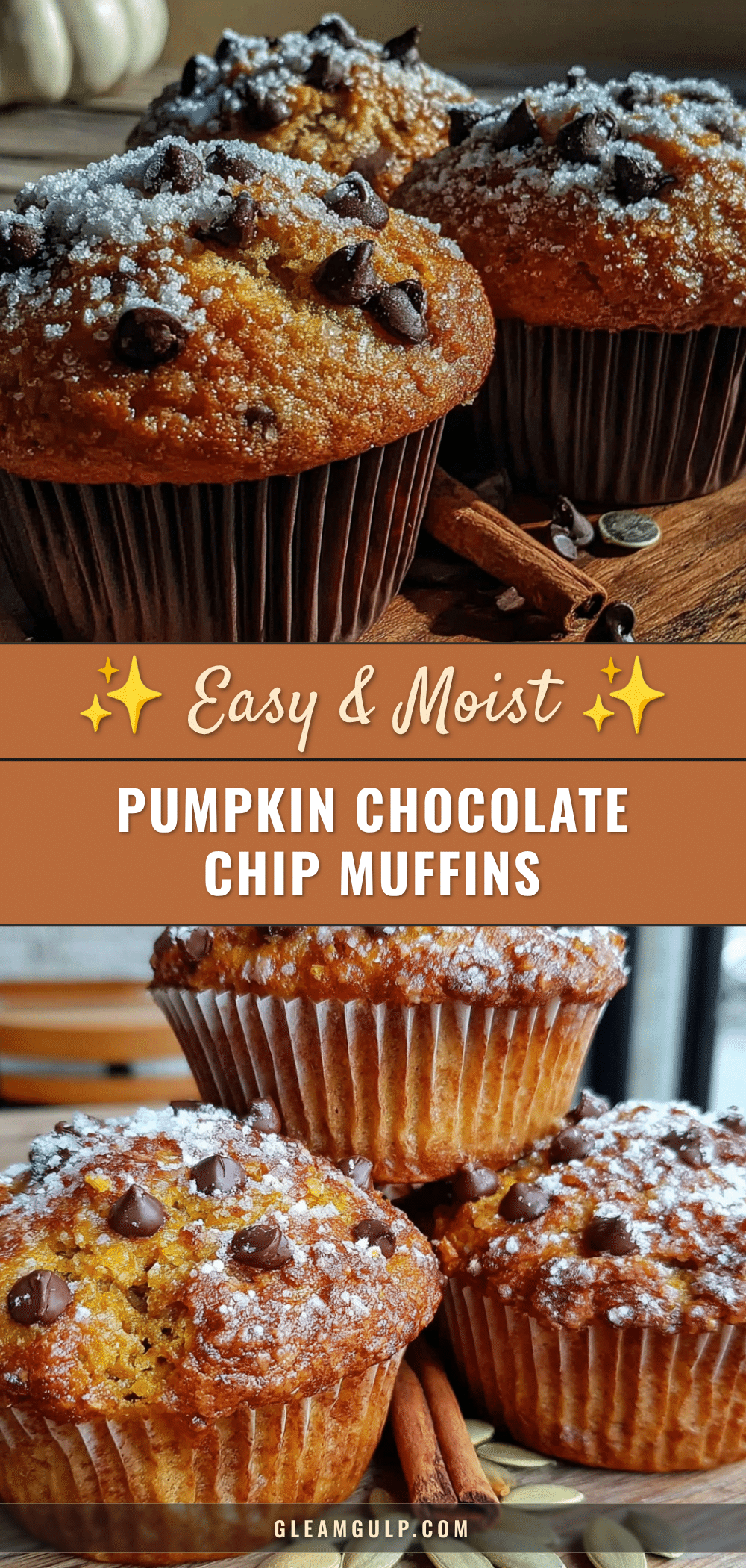 pumpkin chocolate chip muffins recipe