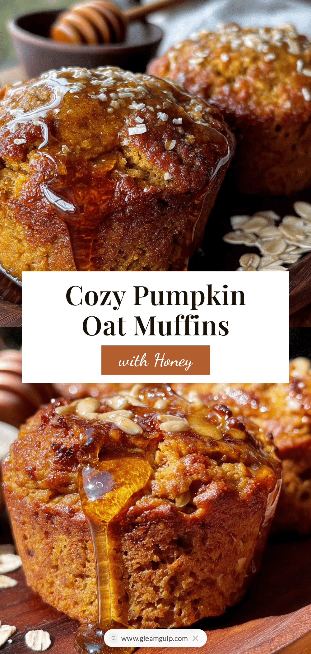pumpkin oat muffins with honey recipe