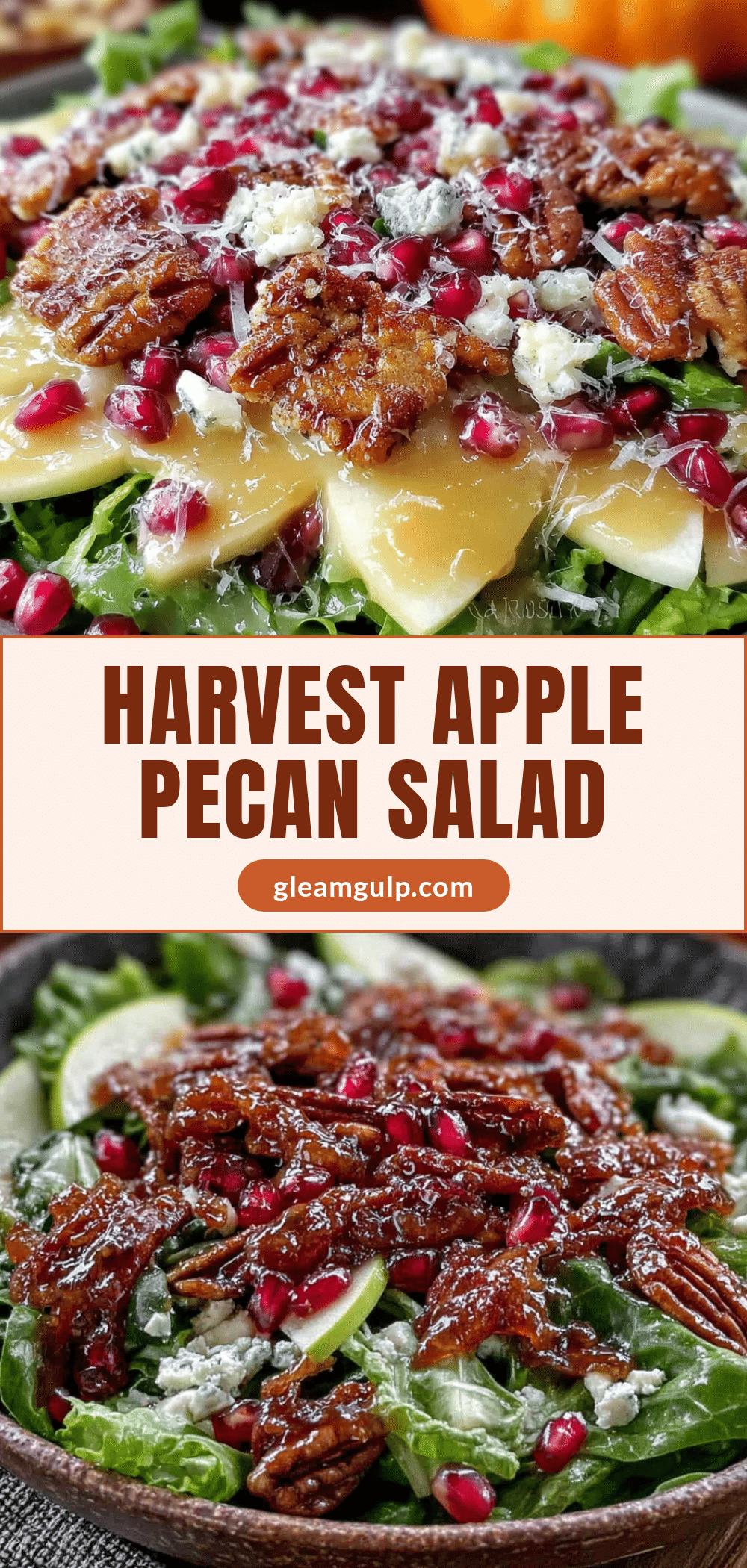 harvest apple pecan salad recipe