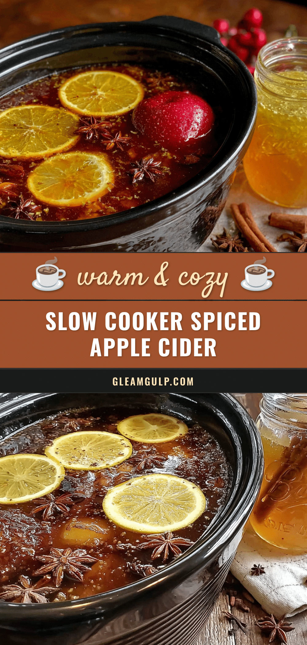 slow cooker spiced apple cider recipe
