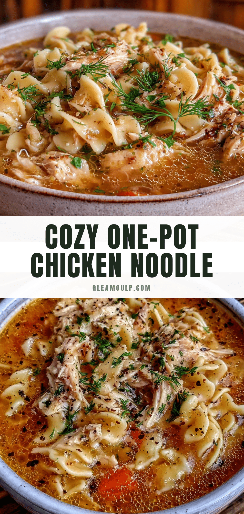 one-pot chicken noodle soup with fresh dill recipe